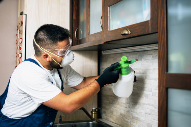 Pest Prevention Services in French Island, WI