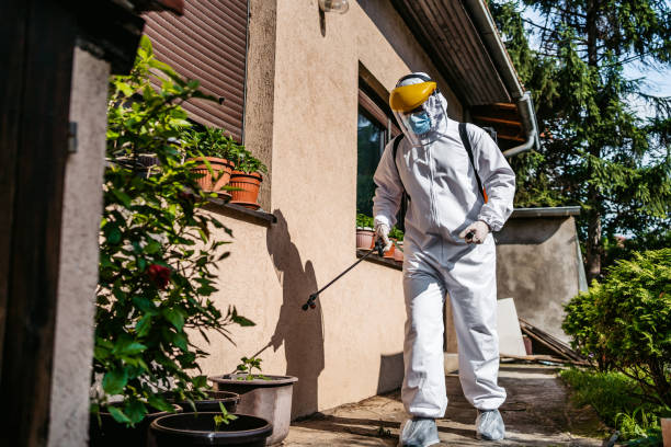 Best Mosquito Control Services  in French Island, WI