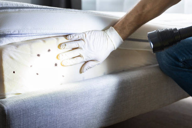 Best Best Pest Control Companies  in French Island, WI