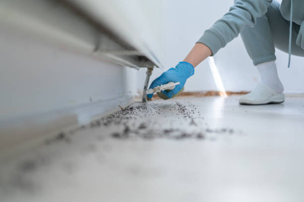 Best Emergency Pest Control  in French Island, WI